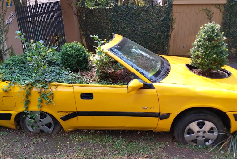 Carro amarelo abandonado, com pneus murchos e o interior transformado em jardim improvisado com arbustos e folhagens — metáfora visual para pattern interrupt no plano de governo.
